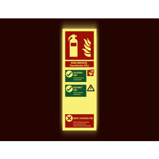 Permalight Power Aushang: Für Kohlendioxid-Feuerlöscher (CO2), Kunststoff lang nachleuchtend, 100 x 300 mm