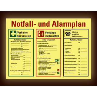 Permalight Power Notfall- und Alarmplan: Mit Piktogrammen, Kunststoff lang nachleuchtend, 700 x 500 mm