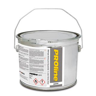 Hallenfarbe PROline paint, gelb (RAL 1003), 5 L