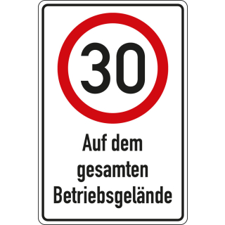 Kombischild 30 km / h - Auf dem gesamten Betriebsgelände, DIN, Aluminium RA0 reflektierend, 600 mm x 900 mm, 1 Stück