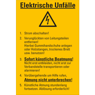 Betriebsaushang: Elektrische Unfälle [...], gelb, Folie selbstklebend oder Kunststoff, 200 mm x 300 mm, nur als Einzelstück