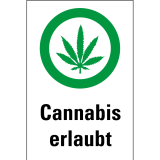 Hinweisschild Cannabiskonsum erlaubt, 200 x 300 mm