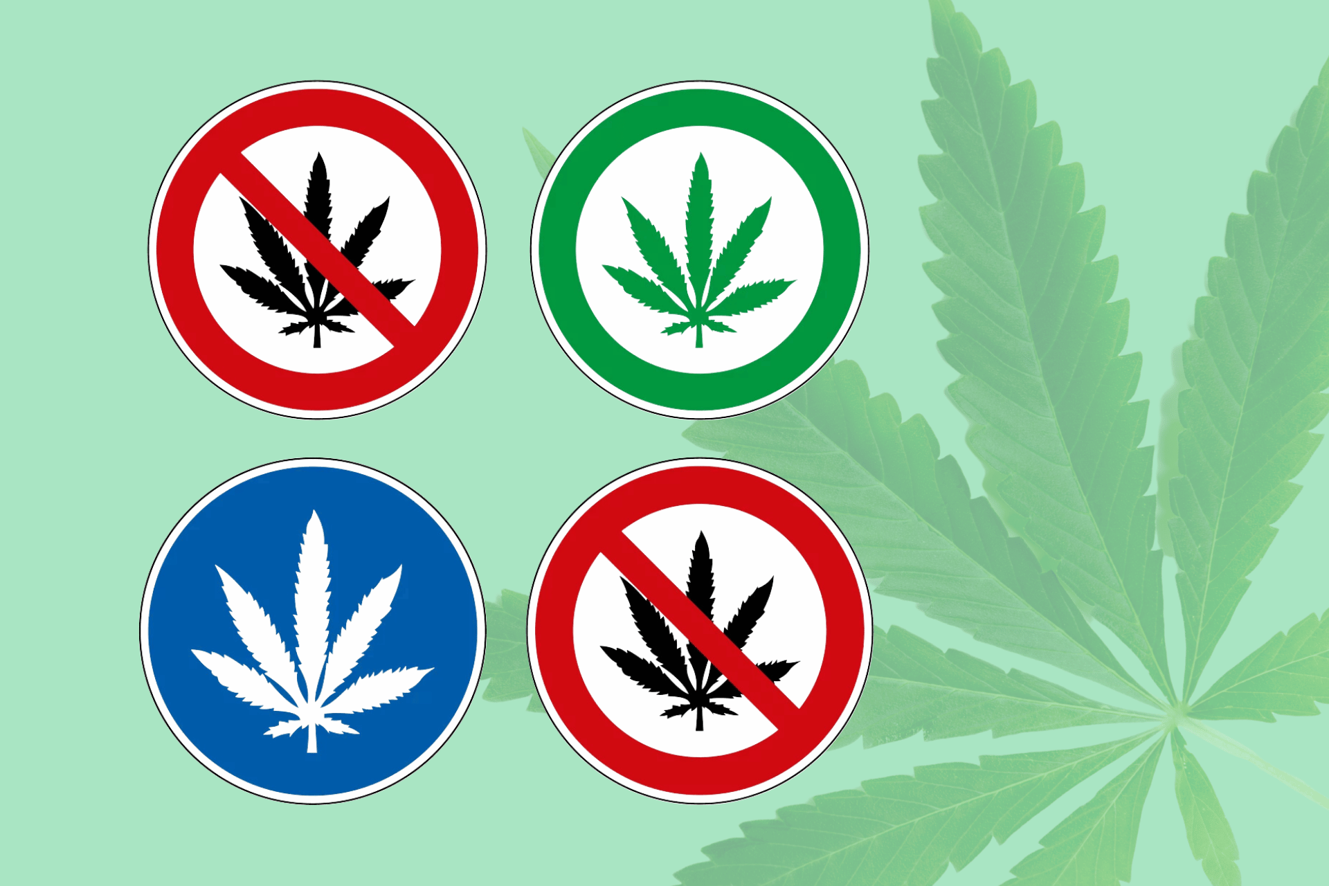 Neue Wege der Cannabis-Kennzeichnung_ Warum klare Schilder wichtig sind