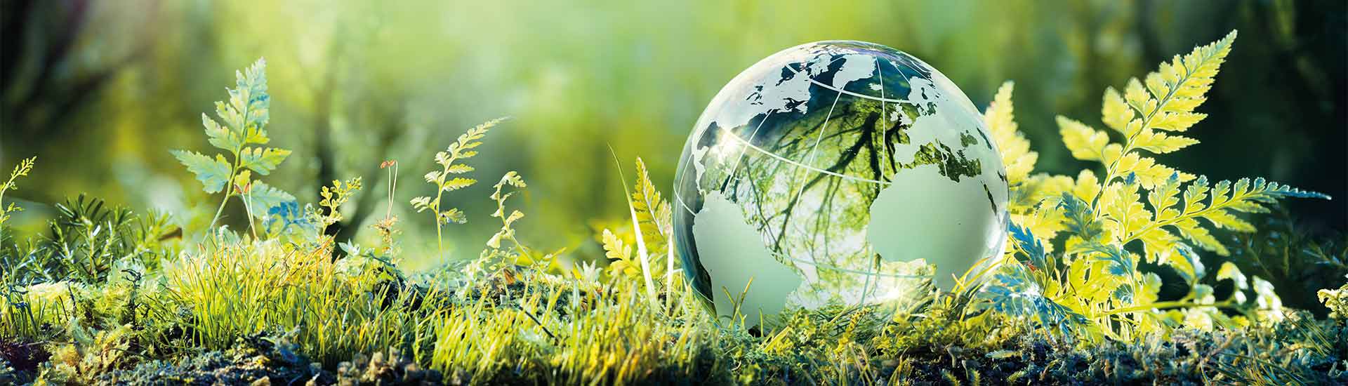 Wie Nachhaltigkeit die industrielle Kennzeichnung revolutioniert – Trends 2025